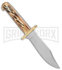 Bear & Son Baby Bowie India Stag Bone Fixed Blade - Satin Plain -Kershaw Sale Store Bear and Son Baby Bowie India Stag Satin BHQ 71956 jr spine large