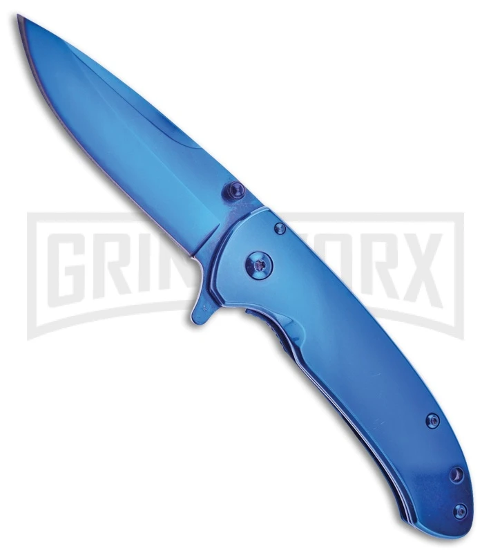 Frost Cutlery Totality Blue Spring Assisted Knife - Blue Plain 1 Frost Cutlery Totality Blue Spring Assisted Knife - Blue Plain