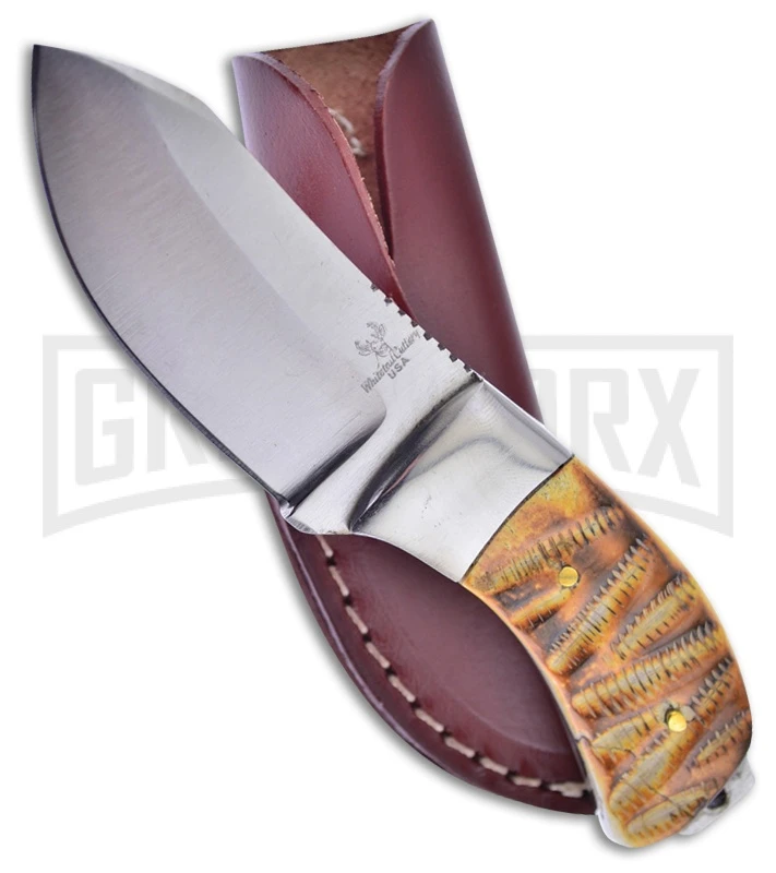 Frost Cutlery Whitetail Fate Chickasaw Bone Fixed Blade Knife - Satin Plain 1 Frost Cutlery Whitetail Fate Chickasaw Bone Fixed Blade Knife - Satin Plain