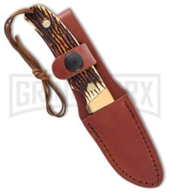 Schrade SCHPH2N Pro Hunter Mini Fixed Blade Knife - Satin Plain -Kershaw Sale Store Schrade Pro Hunter Mini satin BHQ 62071 er sheath large