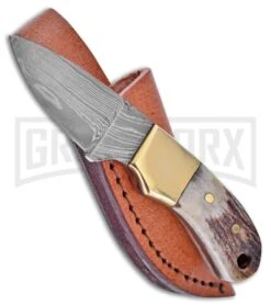 Frost Cutlery Whitetail Small Hunter Stag Fixed Blade Knife - Damascus Plain